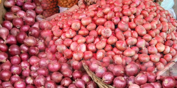 खरीफ प्याज उत्पादन तकनीक खरीफ प्याज उत्पादन तकनीक