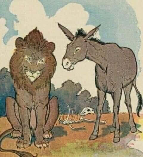 DON'T ARGUE WITH DONKEYS (Fable) DON'T ARGUE WITH DONKEYS (Fable)