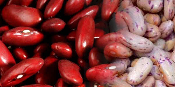 ऊर्जा का स्त्रोत है राजमा ऊर्जा का स्त्रोत है राजमा