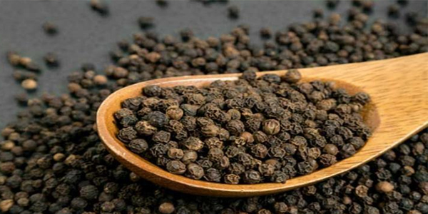 काली मिर्च के फायदे काली मिर्च के फायदे