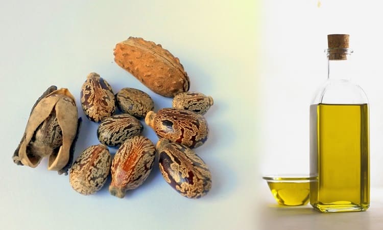 विटामिन ई तेल या अरंडी का तेल जननांग मस्सों से छुटकारा पाने के लिए विटामिन ई तेल या अरंडी का तेल जननांग मस्सों से छुटकारा पाने के लिए