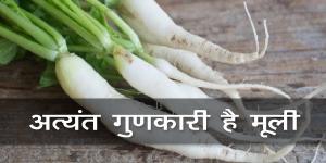 अत्यंत गुणकारी है मूली अत्यंत गुणकारी है मूली