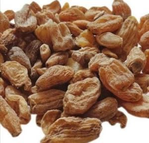 सेक्स पॉवर बढ़ाने की आयुर्वेदिक दवा सालब मिश्री सेक्स पॉवर बढ़ाने की आयुर्वेदिक दवा सालब मिश्री