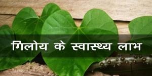 गिलोय के स्वास्थ्य लाभ गिलोय के स्वास्थ्य लाभ