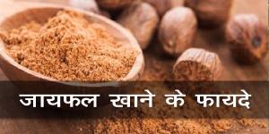 जायफल जायफल