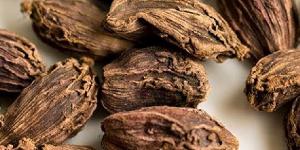 बड़ी इलायची बड़ी इलायची