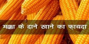 मक्का के दाने खाने का फ़ायदा मक्का के दाने खाने का फ़ायदा