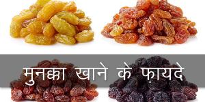 मुनक्का खाने के फ़ायदे मुनक्का खाने के फ़ायदेमुनक्का खाने के फ़ायदे