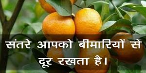 संतरे आपको बीमारियों संतरे आपको बीमारियों
