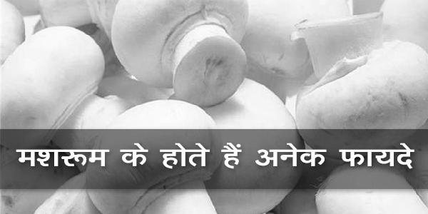 मशरूम के होते हैं अनेक फायदे मशरूम के होते हैं अनेक फायदे