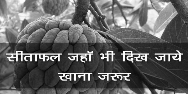 सीताफल जहॉ भी दिख जाये खाना जरूर