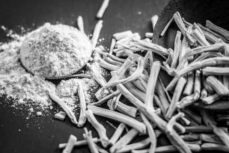 स्तंभन दोष से छुटकारा का घरेलू उपाय शतावरी स्तंभन दोष से छुटकारा का घरेलू उपाय शतावरी
